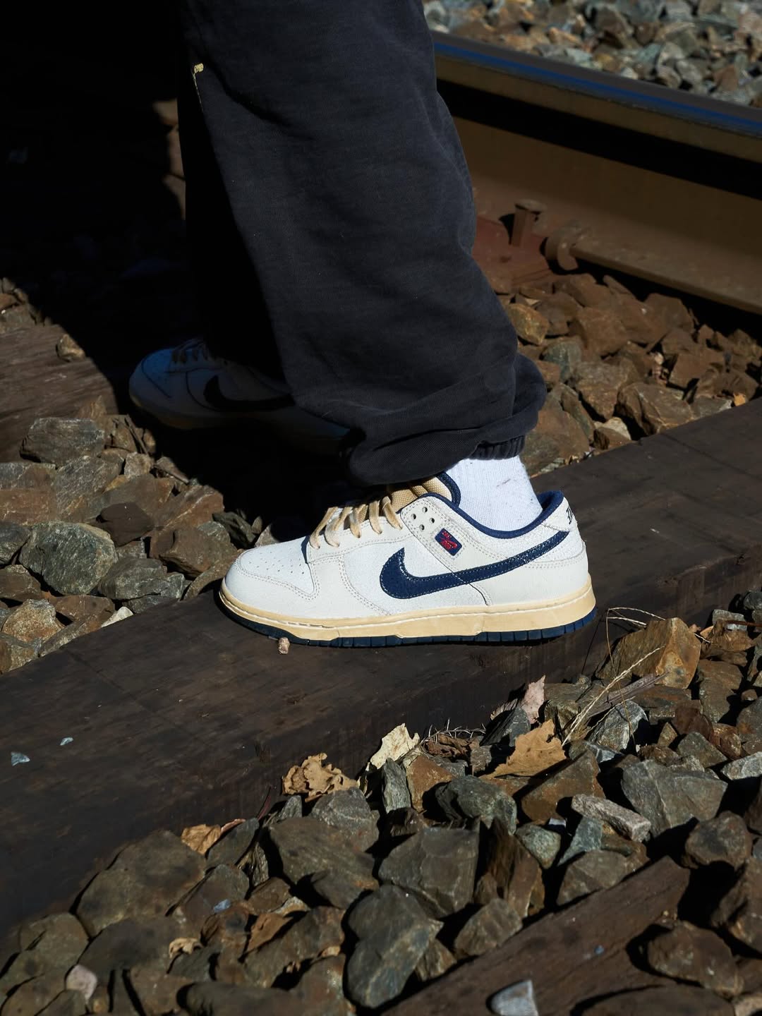 Nike Sb Dunk Low x Stranger Things "Phantom & Midnight Navy" (UA)