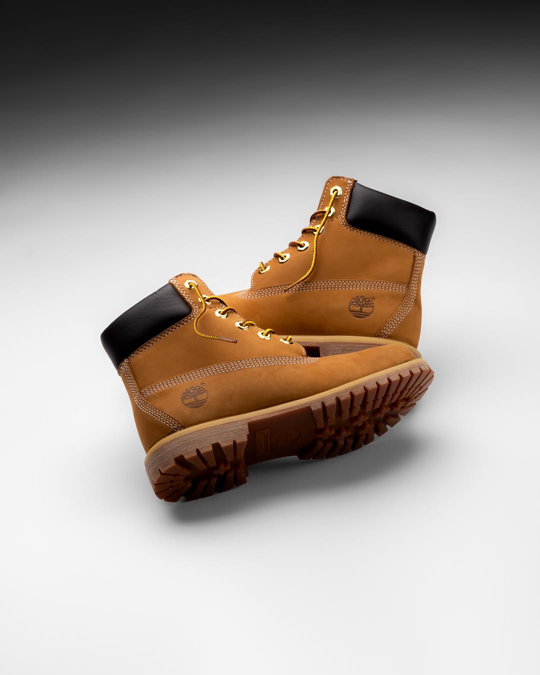 Timberland 6inch Waterproof Boot Wheat
